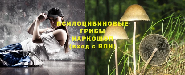 соль курить ск Новодвинск