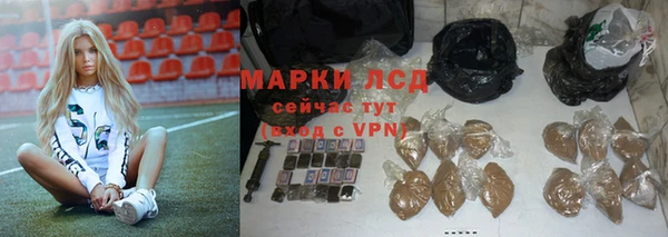 сатива Няндома