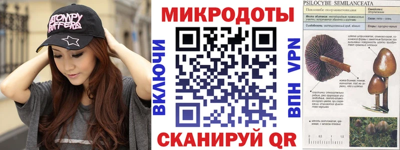 Купить  Чудово  Псилоцибиновые грибы Magic Shrooms 