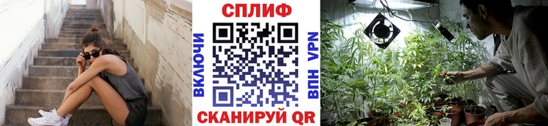МАРИХУАНА планчик  Купить где  Чудово 